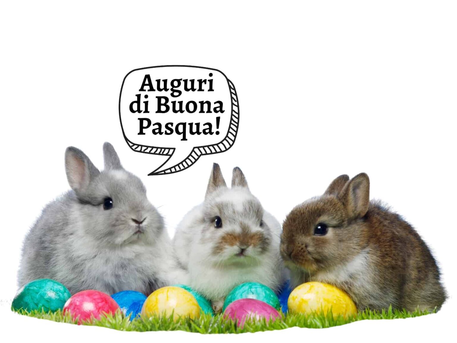 How to Say HAPPY EASTER IN ITALIAN Getting To Know