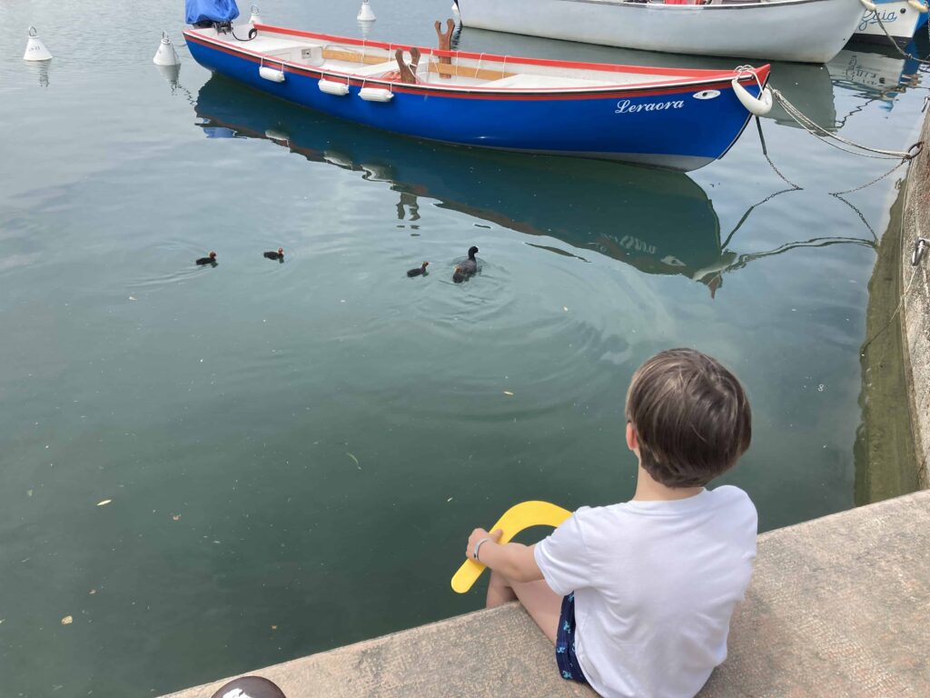 Boy looking at ducks in Lake Garda. You can also see two boats behind the ducks.