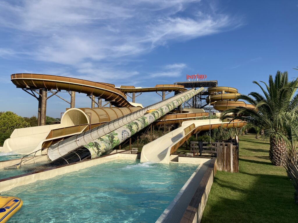 Waterslides that finish in a pool of water. Palm tree on right.